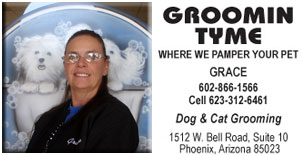 dog groomer 1