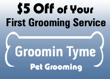 $5 Off, Dog Grooming in Poughkeepsie, NY